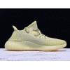 AD Yeezy Boost 350 V2  ANTLIA FV3250