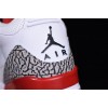Air Jordan 3 Retro Hall of Fame GS 398614-116