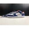 Nike SB Dunk Low Pro QS Ishod Wair